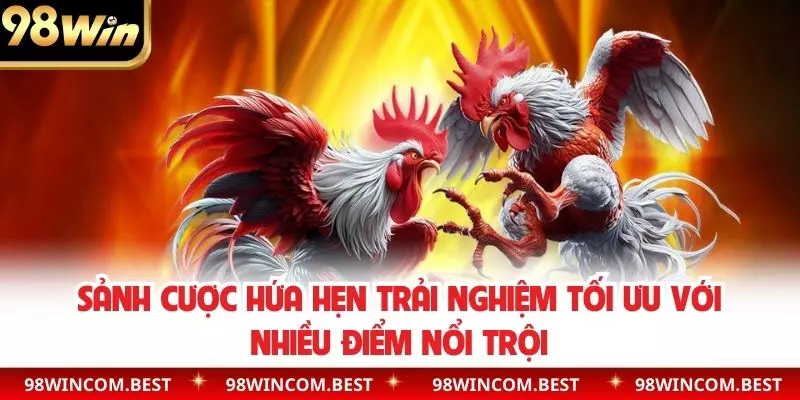 Sảnh cược hứa hẹn trải nghiệm tối ưu với nhiều điểm nổi trội