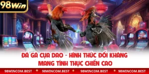 Đá Gà Cựa Dao - Hình Thức Đối Kháng Mang Tính Thực Chiến Cao